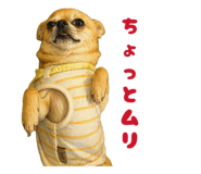 844033255