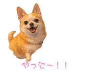 844033258