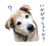 844033307