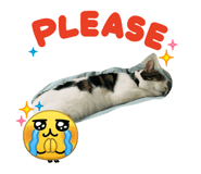 844033517