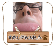 844034061