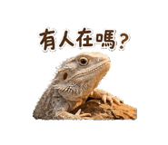 844034282