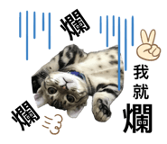 844035564