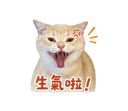 844035673