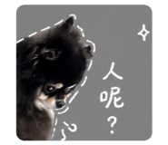 844036466