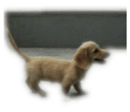 844037407
