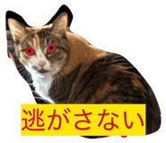 844037409