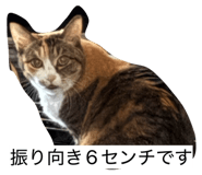 844037410