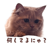 844037610