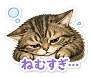 844037746