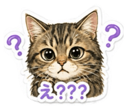 844037757