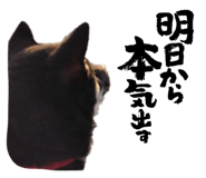 844037817