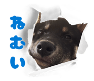 844037821