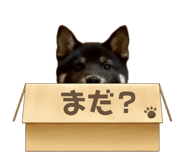 844037827