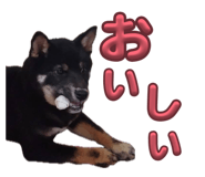 844037831
