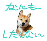 844037875