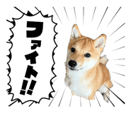 844037880