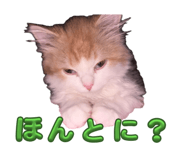 844038708