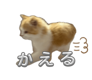 844038710