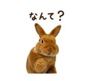 844038903