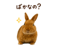 844038904