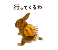 844038906