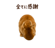 844038909
