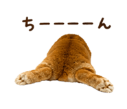 844038912