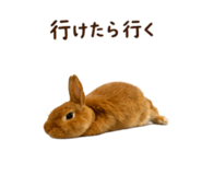 844038916