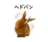 844038921