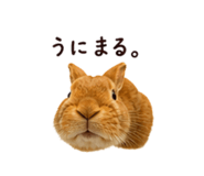 844038925