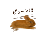 844038927