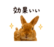 844038932