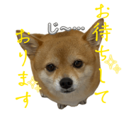 844039017
