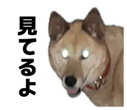 844039109
