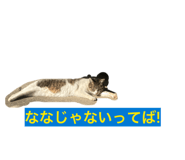 844039878