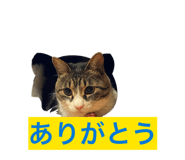 844039879