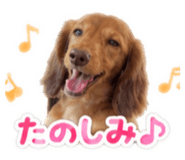 844040072
