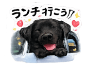 844040131