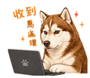 844041082