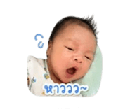 844042517