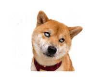 844042876