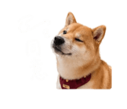 844042885