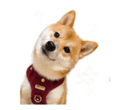 844042886