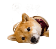 844042888