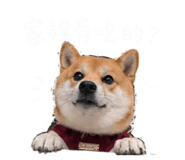 844042894