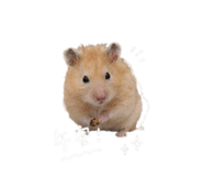 844044044