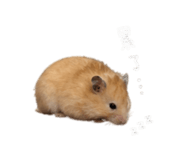 844044070