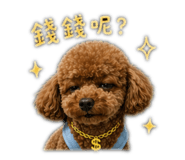 844045007