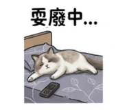 844046141